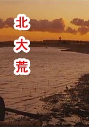 国产精品99久久久久久www